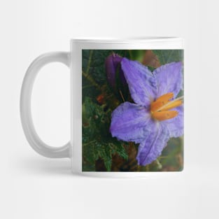 Silverleaf Nightshade Mug